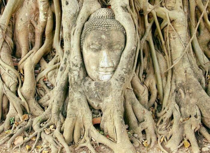 Chanida Home Phra Nakhon Si Ayutthaya Buitenkant foto